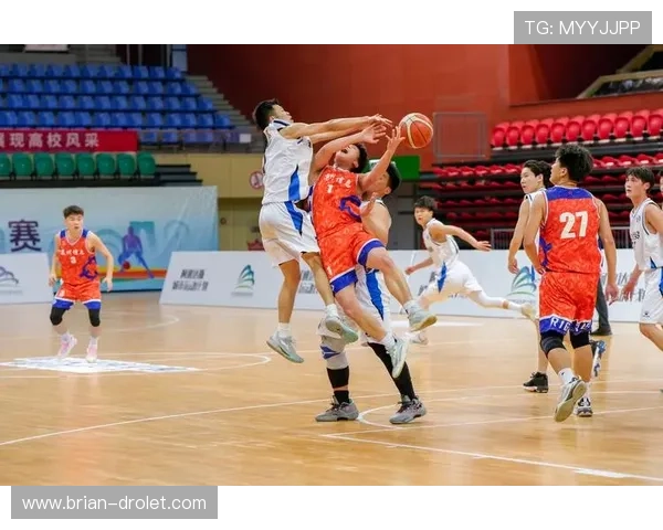 深入解析K8体育大全中的热门体育项目与专业赛事分析指南 深入解析K8体育大全中的热门体育项目与专业赛事分析指南