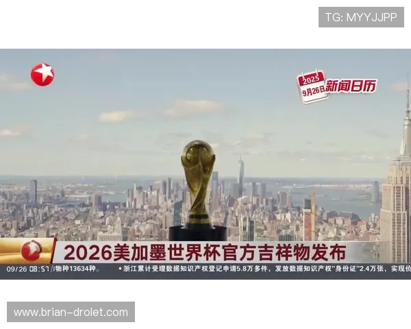 2026世界杯纪念物有哪些值得收藏的珍品，详细介绍不同类型的纪念物及其价值分析