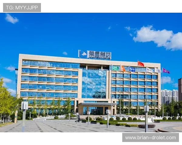 凯发k8一触即发怎么样：全面解析平台安全性与用户体验的真实评价
